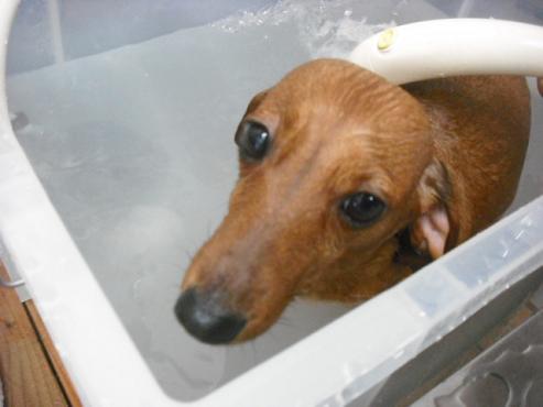 ファイル 633-2.jpg