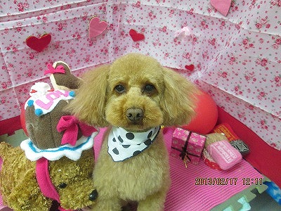 ファイル 6330-1.jpg