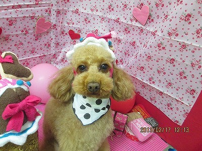 ファイル 6330-2.jpg