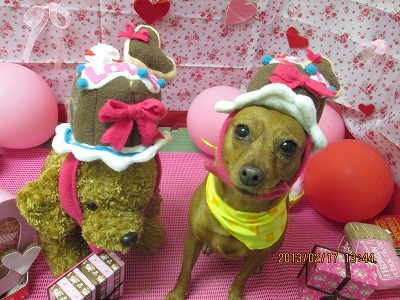 ファイル 6331-1.jpg