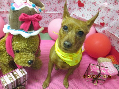 ファイル 6331-2.jpg