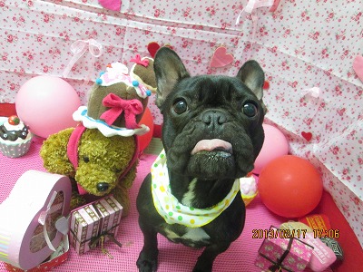 ファイル 6332-2.jpg