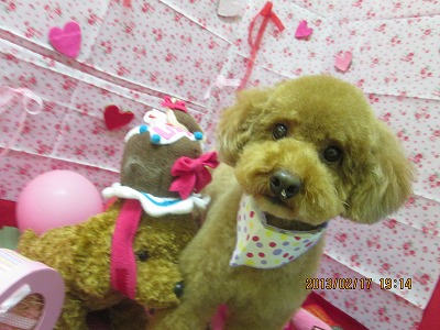 ファイル 6333-1.jpg