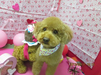 ファイル 6333-2.jpg