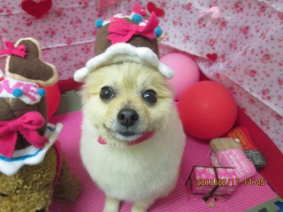 ファイル 6334-1.jpg