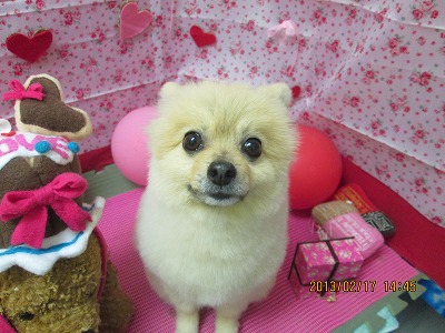 ファイル 6334-2.jpg