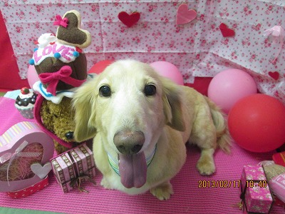 ファイル 6335-2.jpg