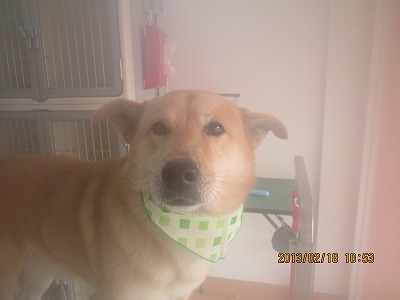 ファイル 6336-1.jpg