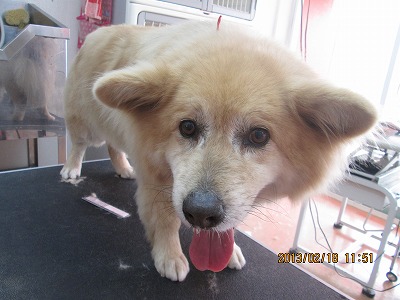 ファイル 6337-1.jpg