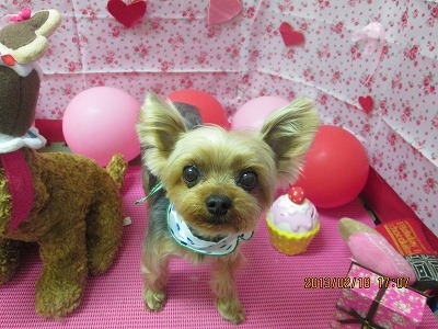 ファイル 6338-1.jpg