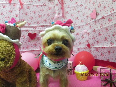 ファイル 6338-2.jpg