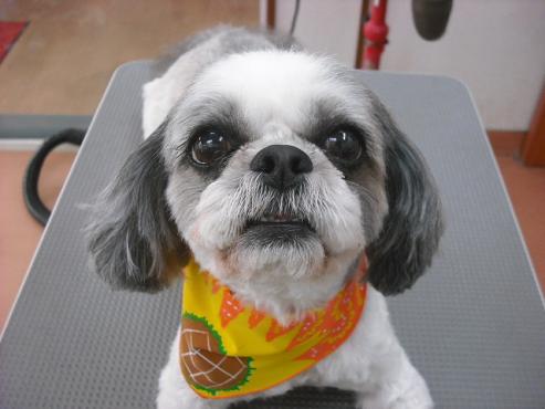 ファイル 634-1.jpg