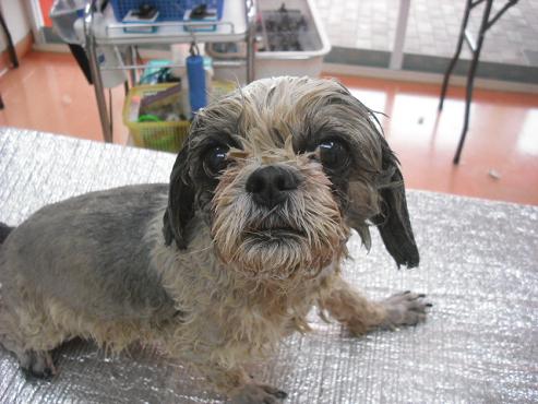 ファイル 634-2.jpg