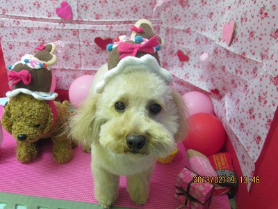 ファイル 6340-1.jpg