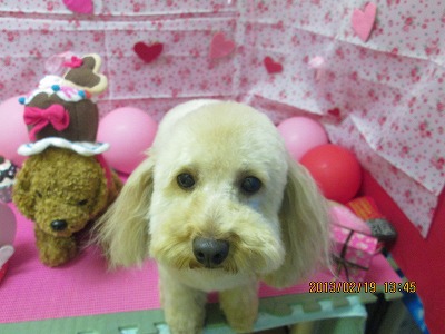 ファイル 6340-2.jpg