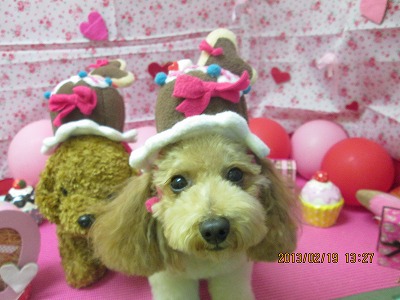 ファイル 6341-1.jpg