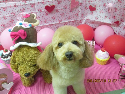 ファイル 6341-2.jpg