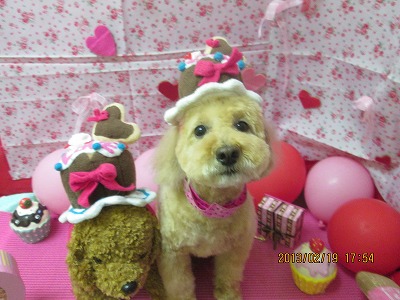 ファイル 6342-1.jpg