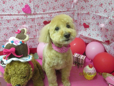 ファイル 6342-2.jpg