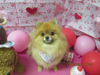 ファイル 6343-2.jpg