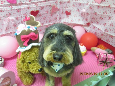 ファイル 6344-2.jpg