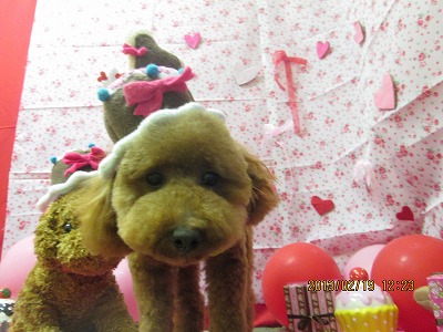 ファイル 6345-1.jpg