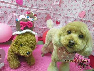 ファイル 6346-2.jpg