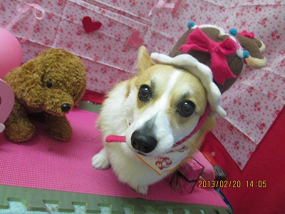 ファイル 6348-1.jpg