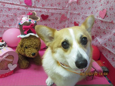 ファイル 6348-2.jpg