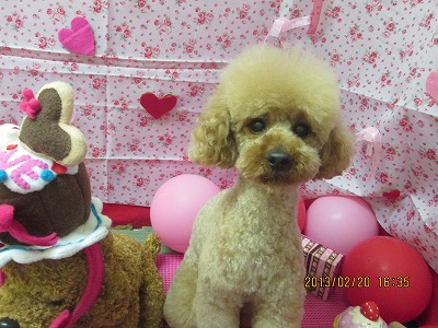 ファイル 6349-1.jpg