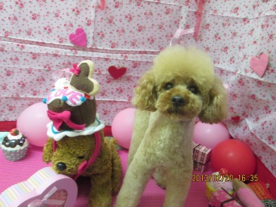 ファイル 6349-2.jpg