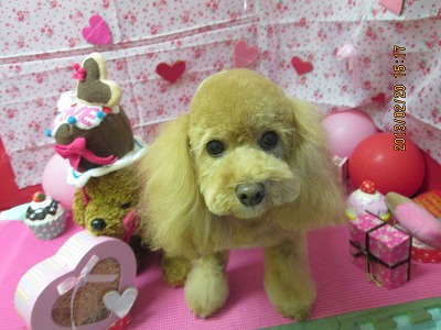 ファイル 6351-2.jpg