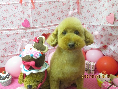 ファイル 6352-2.jpg