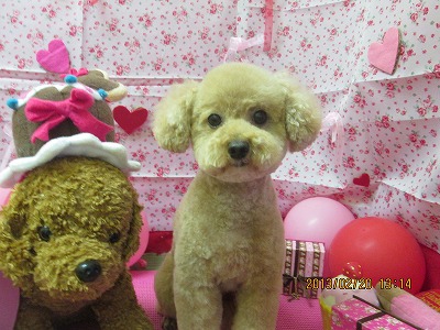 ファイル 6353-1.jpg