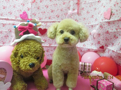 ファイル 6353-2.jpg