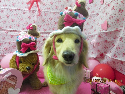 ファイル 6354-1.jpg