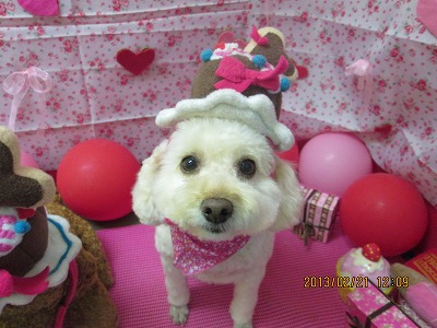 ファイル 6355-1.jpg