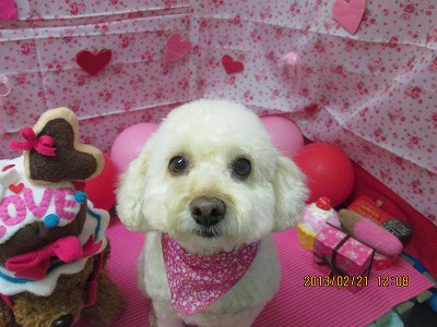 ファイル 6355-2.jpg