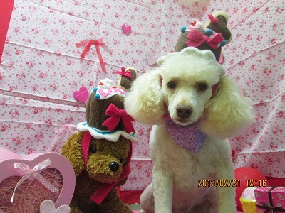 ファイル 6356-1.jpg