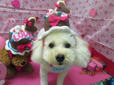 ファイル 6357-1.jpg