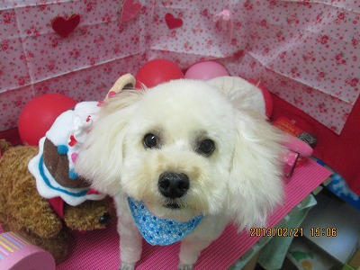 ファイル 6357-2.jpg