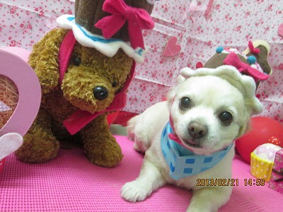 ファイル 6358-1.jpg