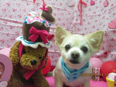 ファイル 6358-2.jpg