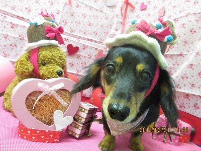 ファイル 6359-1.jpg