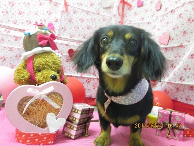 ファイル 6359-2.jpg