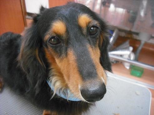 ファイル 636-1.jpg