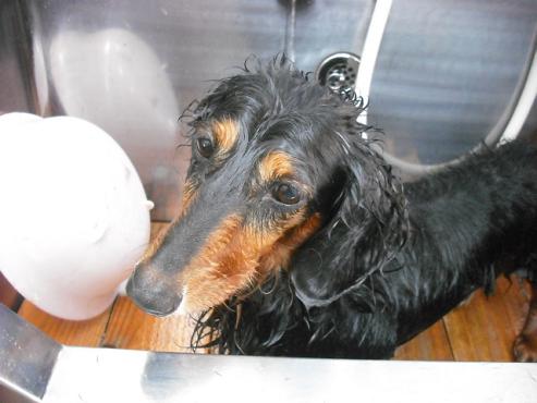 ファイル 636-2.jpg