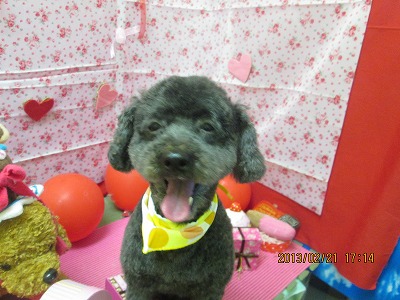 ファイル 6360-1.jpg