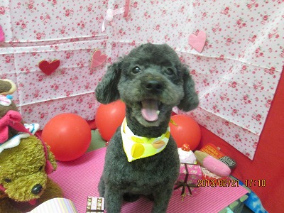 ファイル 6360-2.jpg