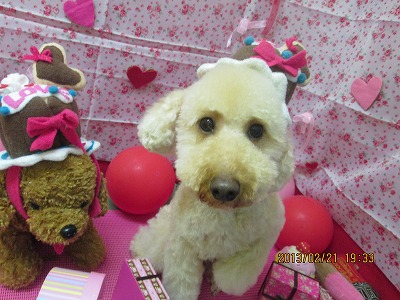 ファイル 6361-1.jpg